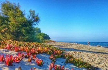 Soleil & mer sur la Costa Verde - Foto 4