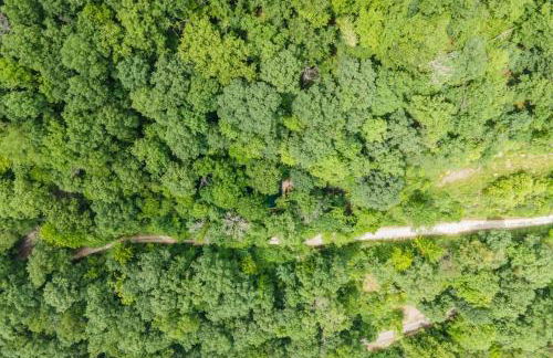 Hot Tub - Haven at the Red - Red River Gorge KY - Foto 36