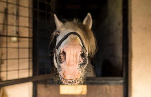 Cascina Canale - Foto 42