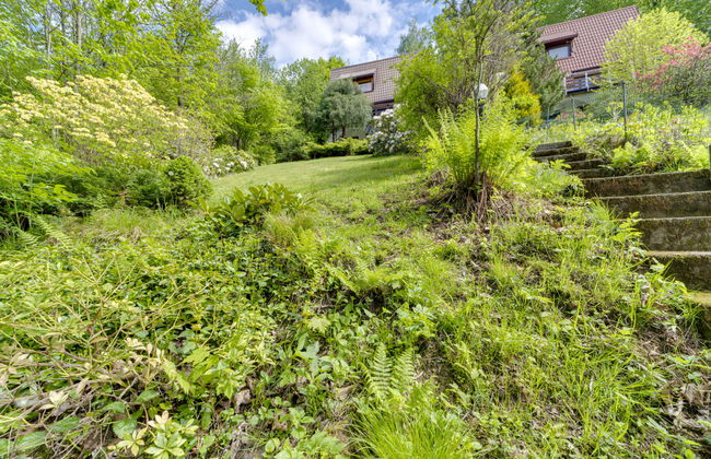 Partecznik - Photo 43