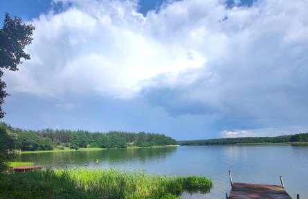 Domek lubiana180 SCANDI wśród drzew JACUZZI SAUNA KOMiNEK i TARAS na dachu jezioro Kaszuby Pieski tylko do 10kg za dodatkową opłatą - Foto 49