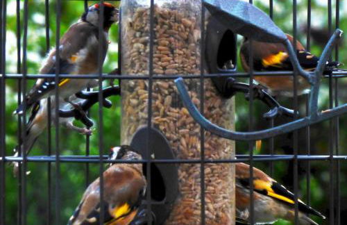 The Old Mill Cottage - Foto 74