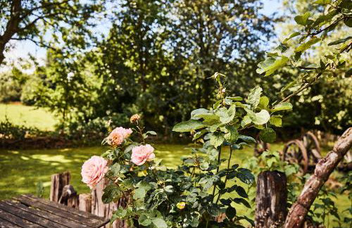 MeinNest31 - Photo 77