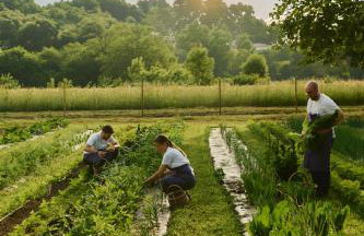 Agriturismo Capuccina - Foto 8