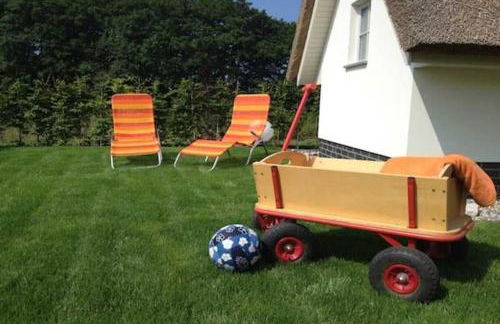 FH Strandmuschel - Foto 2