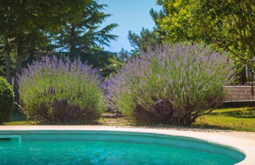 Villa Branko Istria - Foto 54