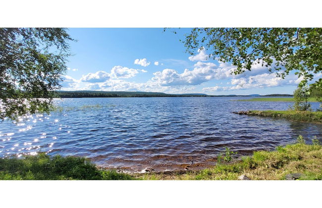 Koivulahden reinola - Foto 14