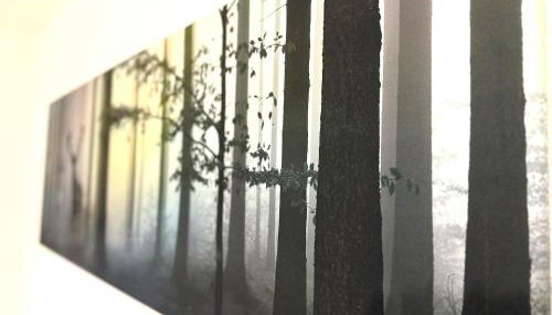 Natur-Apartment am Großen Arber Netflix WIFI - Foto 2