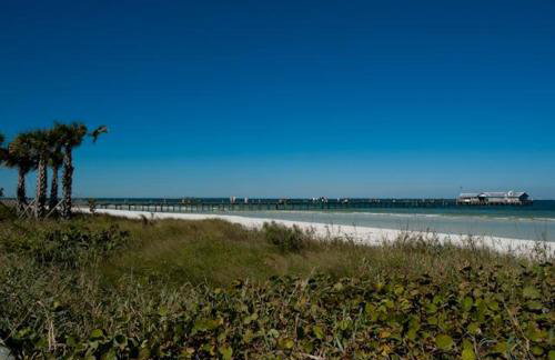 Pelican Villa - Foto 39