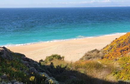 Casa do Pai Beach House - Foto 52