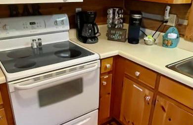 Blue Ridge Cozy Cabin-Hot Tub & Dog Friendly - Foto 4