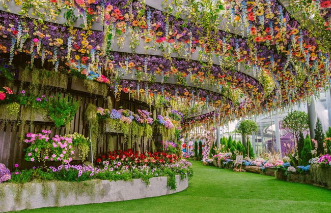 Gardens by the Bay Tickets - Photo 4