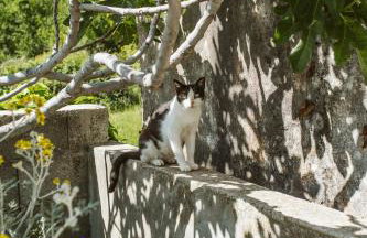 Apartment Kuzmanić - Foto 27