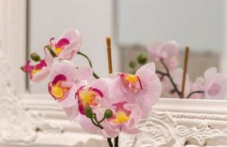 Dorney Windsor Legoland 5 Star Stay for upto 14 guests - Photo 70