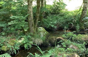 Lake View Cabin - Foto 12