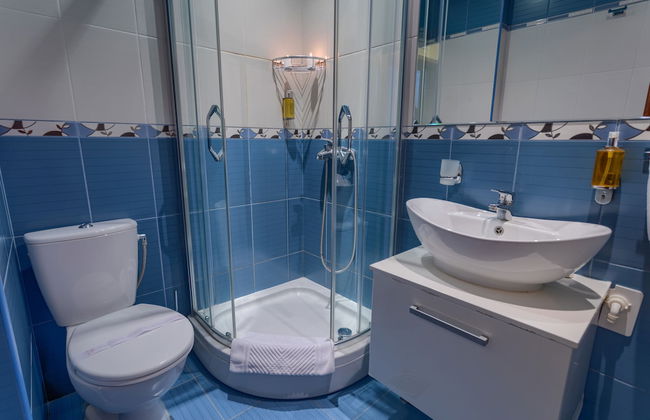 Vila Barović and Spa - Foto 33