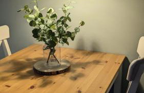 Studio Apartment Bachmann - Photo 5