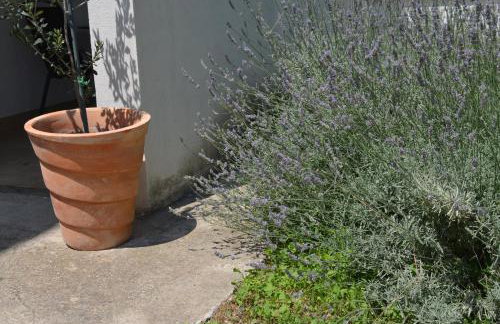 Apartman Roguljić - Photo 26