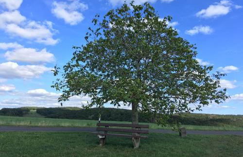 Eifelcottage Wren - Foto 22