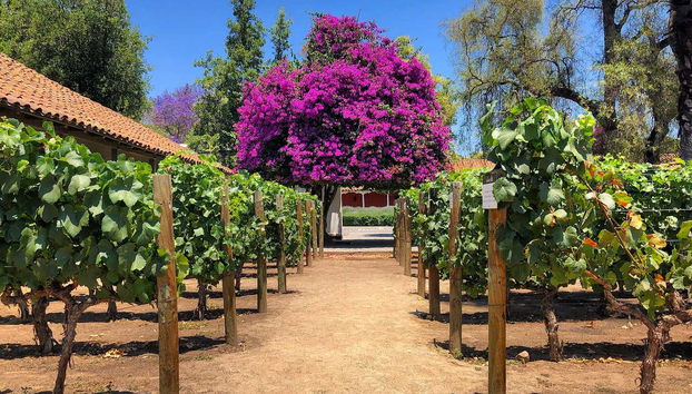 Explore the picturesque grounds