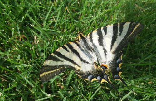 Casa Rural Atalaya House - Foto 49