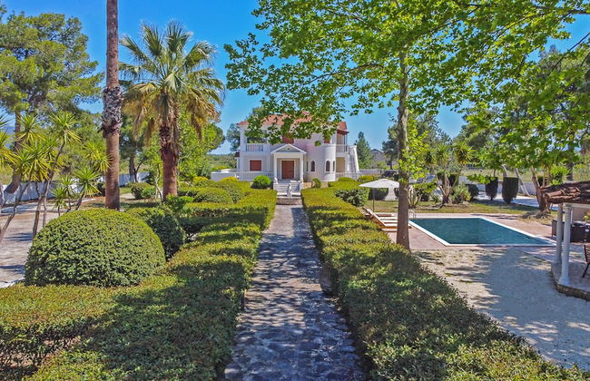 Adriana Di Levante - Foto 44