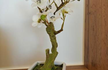 La Parenthèse Zen - Grande terrasse avec vue - Foto 23