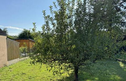 Ferienhaus Ailsbach Ruhig, eingezäunt, hundefreundlich nahe A3 - Foto 34