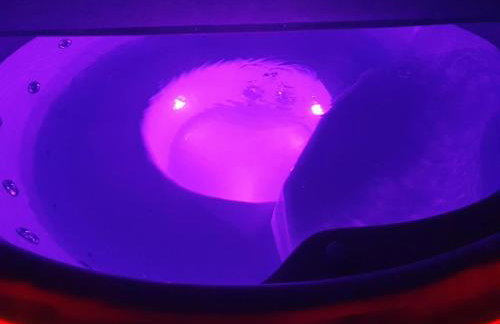 Sielska Chatka - domek z możliwością dodatkowego wynajęcia sauny i bali - Foto 4