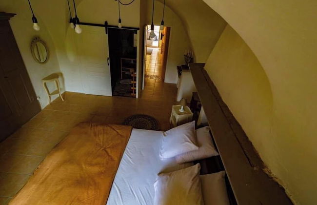 Intemporel - Photo 5