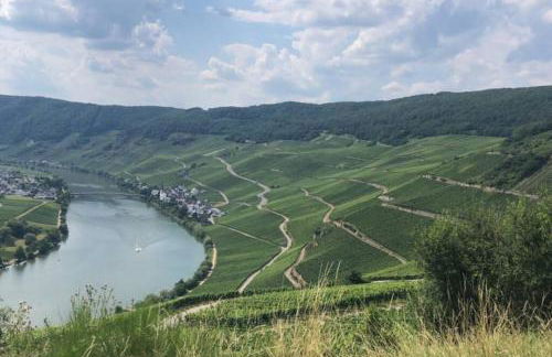 Ferienwohnung Moselgold - Foto 10