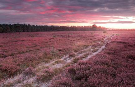 Dovecote House - Luxury Town House - Dog Friendly - Foto 56