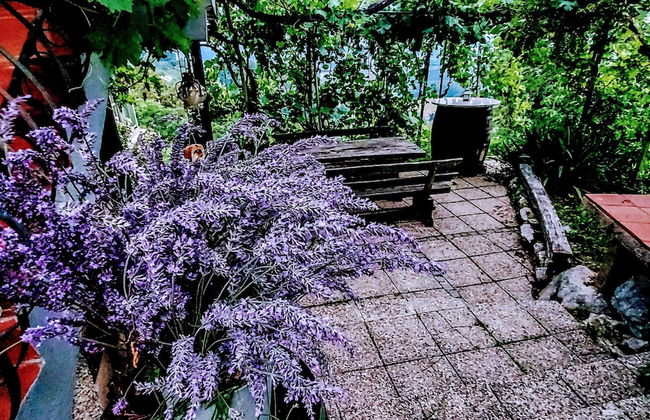 Vineyard cottage Verček - Photo 14