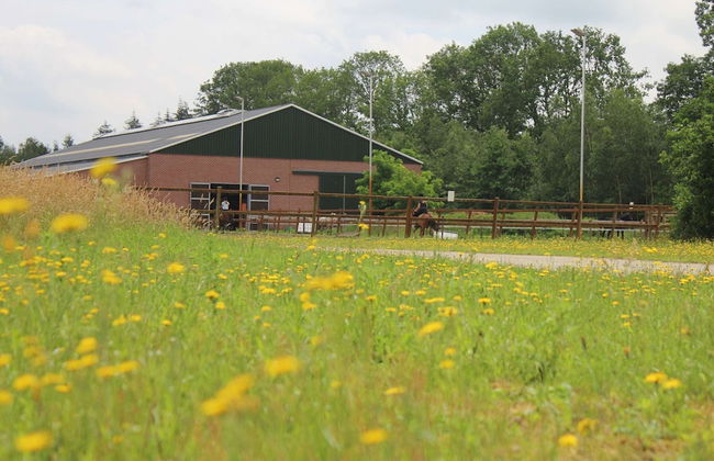 Relaxing Woodland Retreat - Foto 36