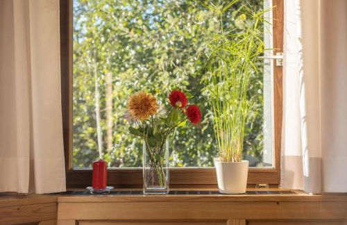 App Peterbühl - Gasser - Foto 17