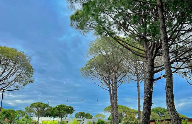 Stylish Studio With Spacious Balcony -trendafili - Foto 30