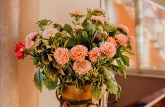 Dalmatian Green Peak - Foto 20