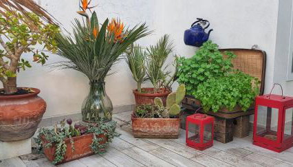 Da Giovanna a Marzamemi - Foto 4