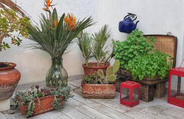 Da Giovanna a Marzamemi - Foto 37