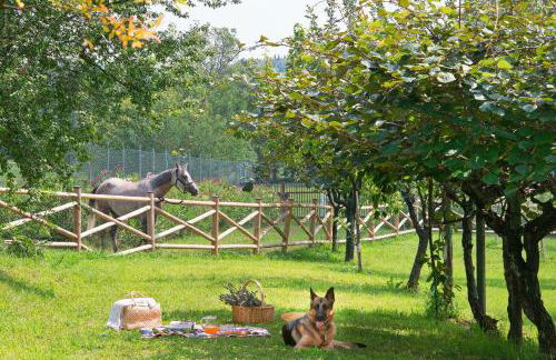 Olea Dei Holiday Apartments - Foto 40