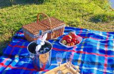 Rancho Bela Vista - o seu recanto em Pelotas - Foto 36