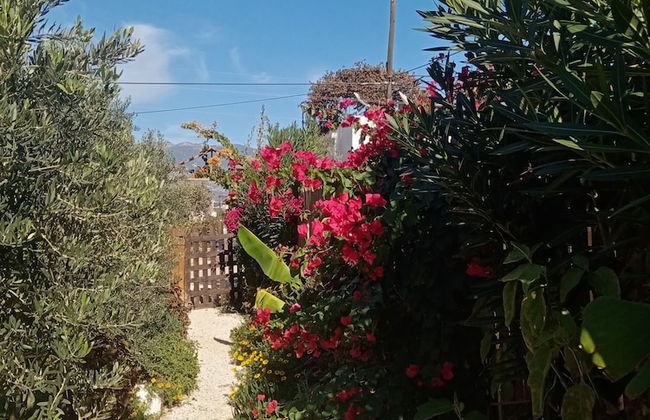 Riviera Bungalow Evleri Demre - Photo 65