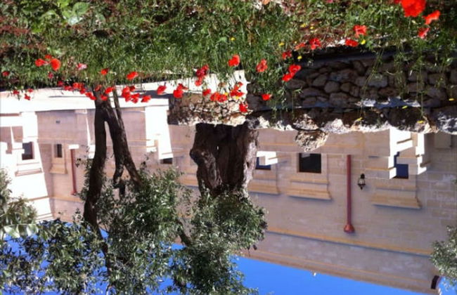 Agriturismo Masseria San Leonardo - Foto 22