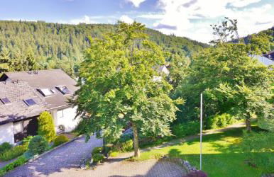 Komfort-Fewo SKYWALK-BLICK mit MeineCardPlus - Foto 22