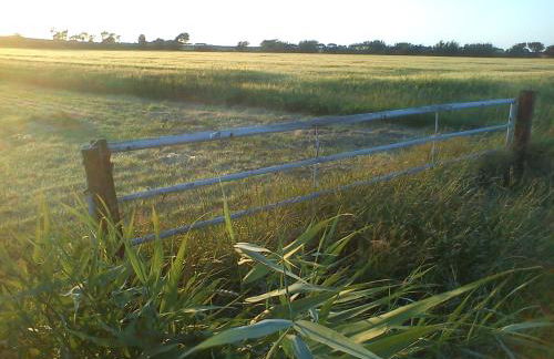 Haus am Deich - Photo 46