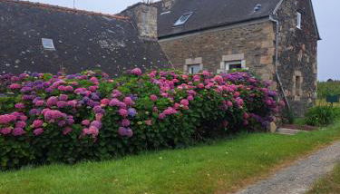 entre Paimpol et Tréguier - Photo 2