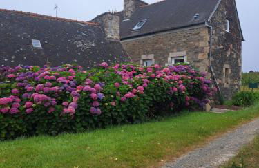 entre Paimpol et Tréguier - Photo 2