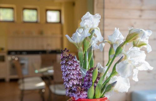 Castelvecchio - Foto 7