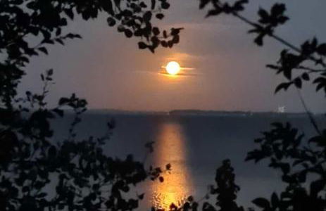 Ankerplatz Maria (Zuhause an der Ostsee) - Foto 25