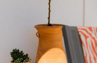 Villaluminosa - Photo 15